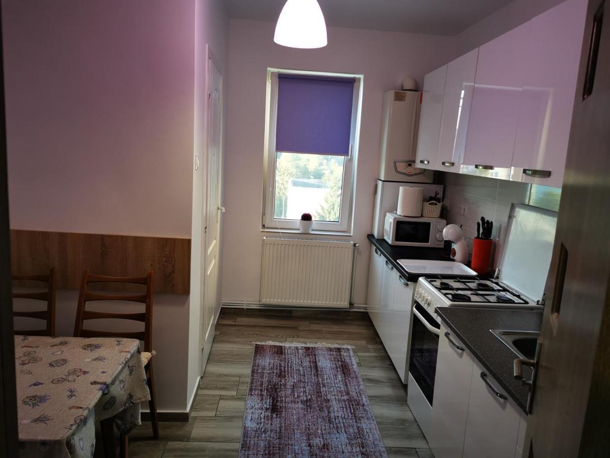 Violet Residence Târgu-Mureş Esterno foto